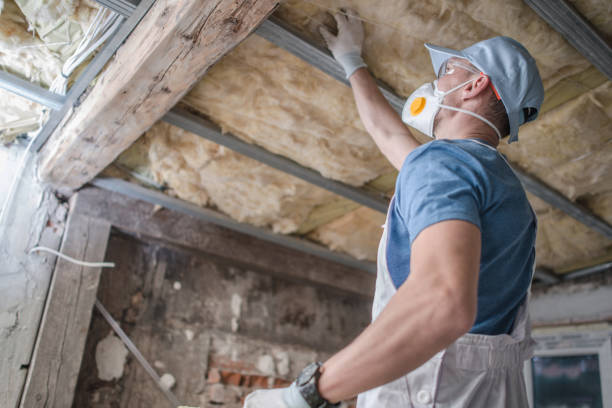 Best Spray Foam Insulation in Herlong, CA