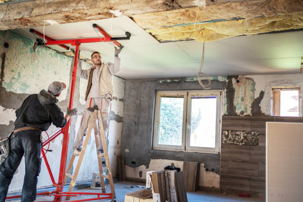 Types of Insulation We Offer in Herlong, CA