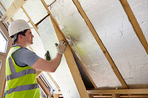 Best Residential Insulation in Herlong, CA
