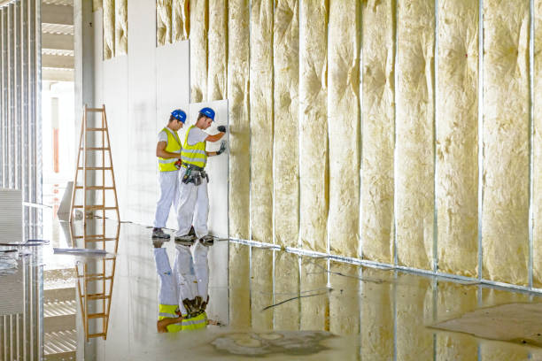 Best Cellulose Insulation in Herlong, CA